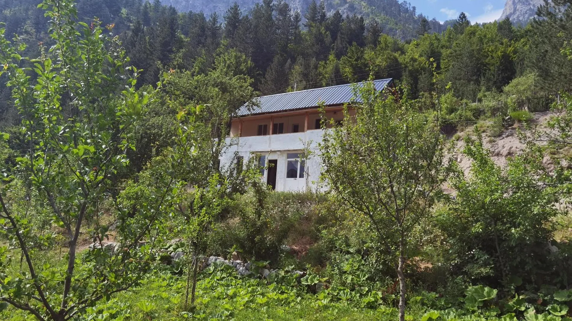 Guest House Artani contacts
